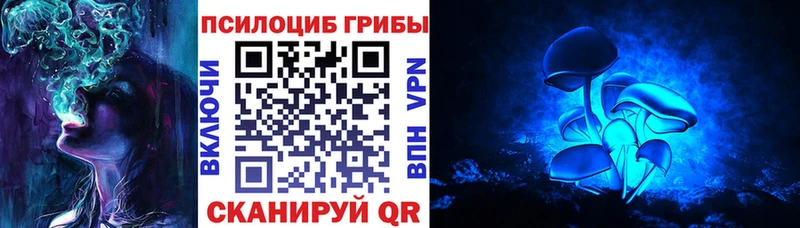 наркотики  Мураши  Псилоцибиновые грибы Cubensis 